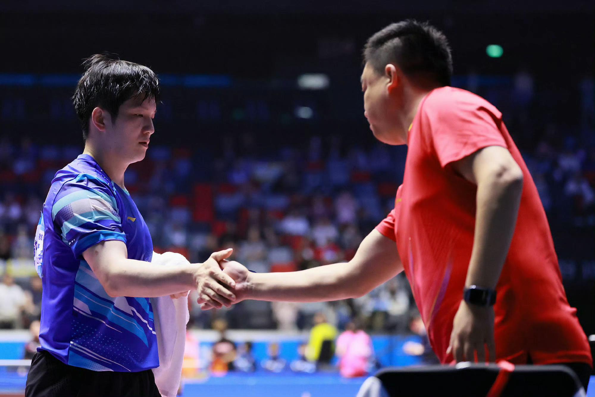 雷火电竞合作-日本队逆转奥地利队，樊振东惊艳四座