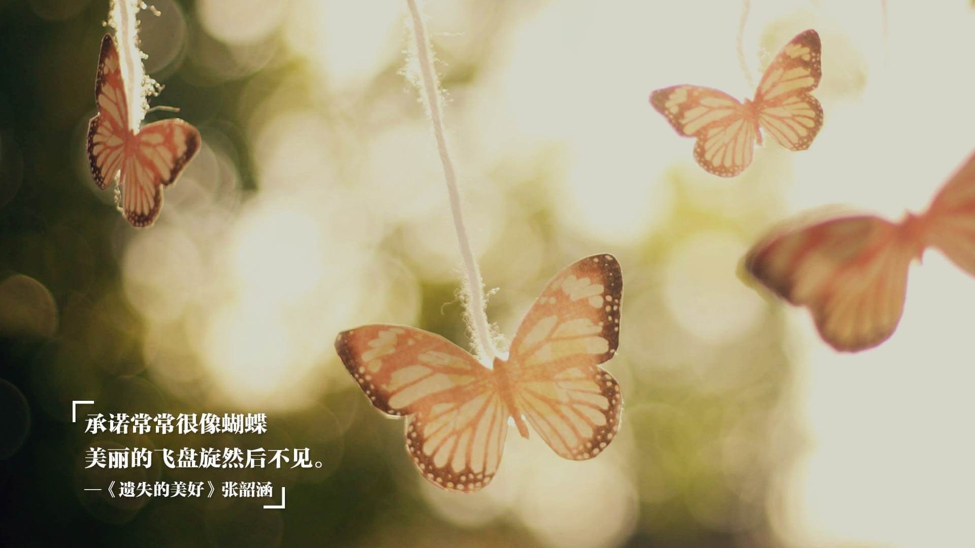 跨越太平洋的战术奏鸣曲，辽宁队轻取国王，德罗赞带动全队节奏