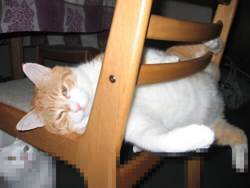 孤星与群狼,当个人英雄主义在数据迷雾中隐去