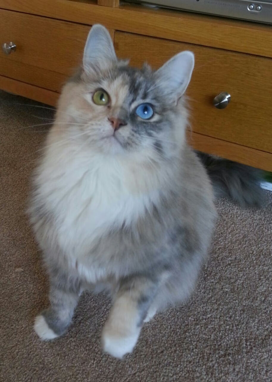 重塑格局之战,开拓者精妙战术彻底压制勇士,新秀班凯罗一战惊艳四座