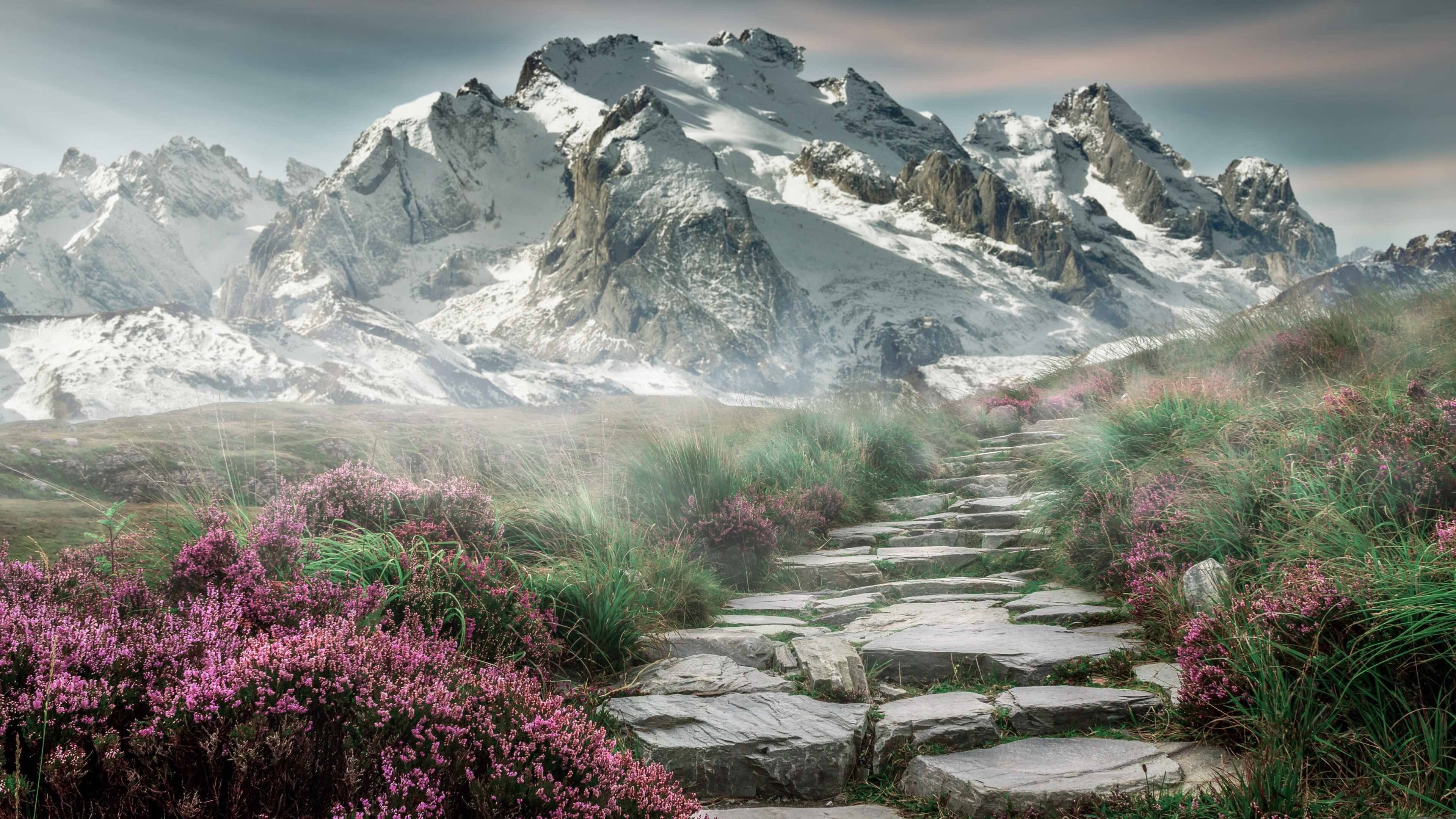 唯我独行,当全世界遗忘时,武切维奇用绝杀刻下大场面先生之名