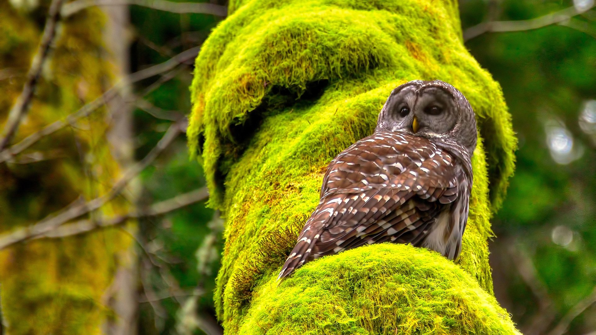 利剑出鞘，拉什福德以攻防转换核心之姿，撕裂挪威与哥斯达黎加的战术僵局