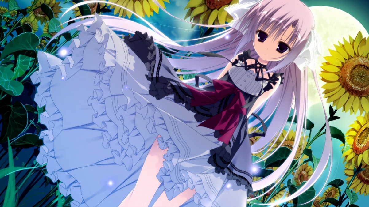 从达拉斯到马尼拉,当独行侠的火种点燃世界杯—霍勒迪的2026封神之路