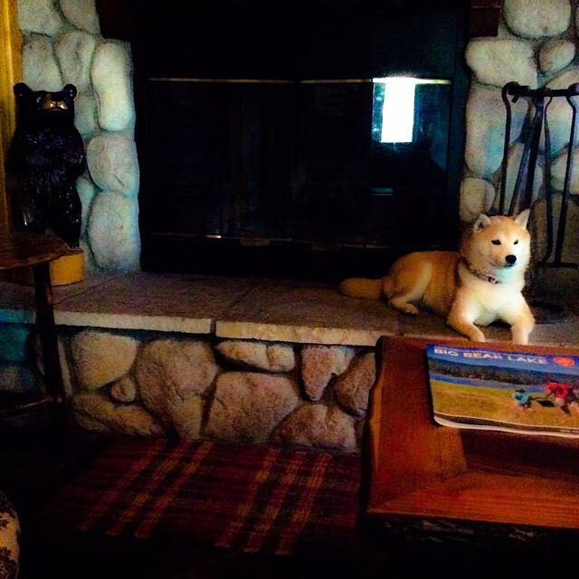 双塔围城，戈贝尔攻防两端的绝对统治，如何将雷霆的青春风暴锁死在决胜局？