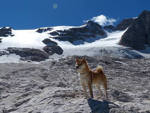 雷火电竞网站-双线爆发！塔图姆爆砍50分创纪录之夜，浙江队史诗逆转，巅峰战加时胜新疆