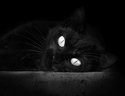 足球是圆的,但通往胜利的路径不止一条