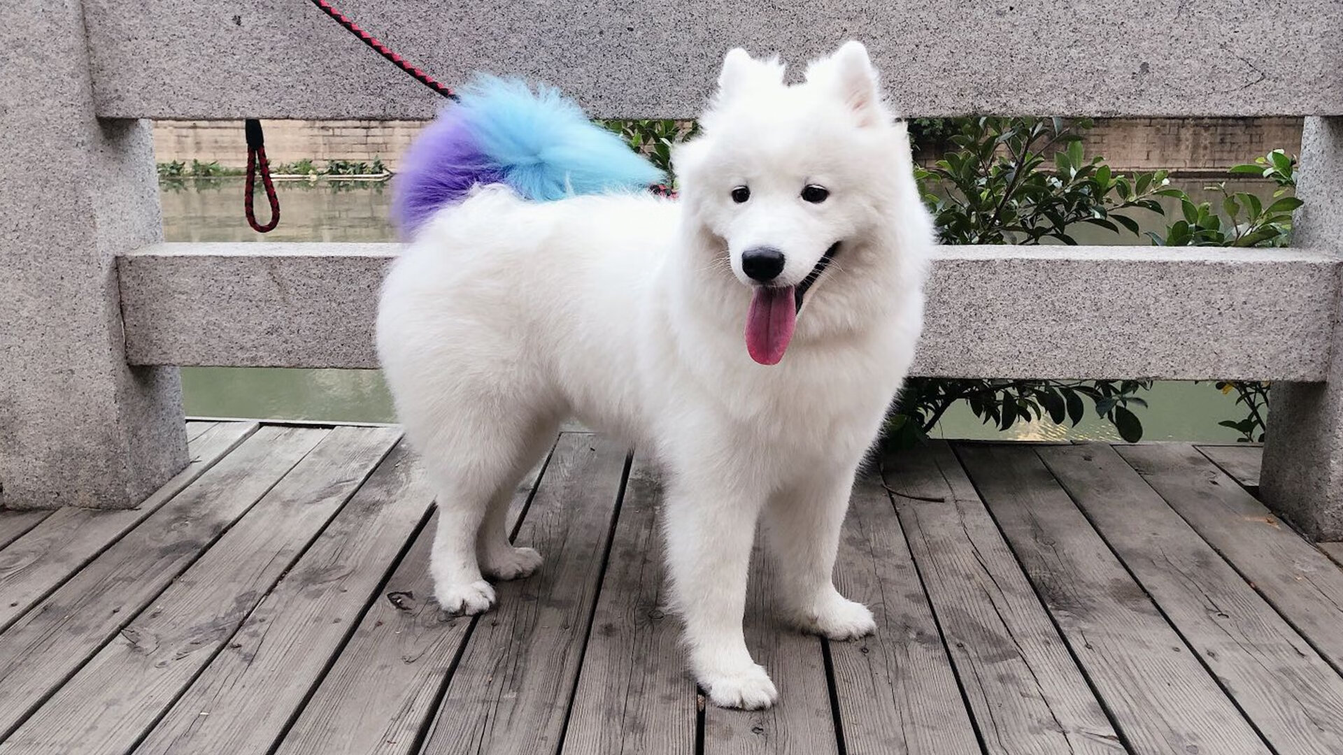 雷火电竞网址-跨界争冠，英超焦点战与广厦横扫掘金的体育启示