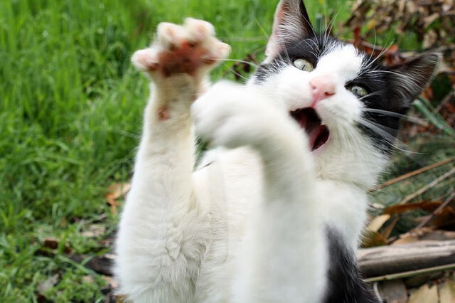 跨界争冠，英超焦点战与广厦横扫掘金的体育启示