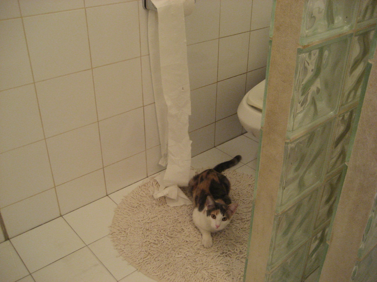 雷火电竞网址-数字叛乱之夜，当戈麦斯的数据成为唯一暴君